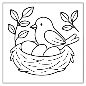 Omalovánka ptačí hnízdo – coloring page s vajíčky a větvičkami pro děti k vybarvení zdarma