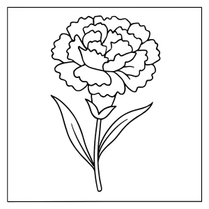 Karafiát omalovánka – detailní květina na coloring page k vybarvení