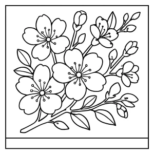 Detailní omalovánka třešňového květu zdarma k vytištění a vybarvení – coloring page pro děti