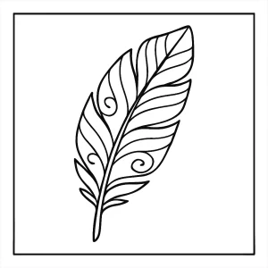 Omalovánka pírka – feather coloring page ke stažení a vybarvení