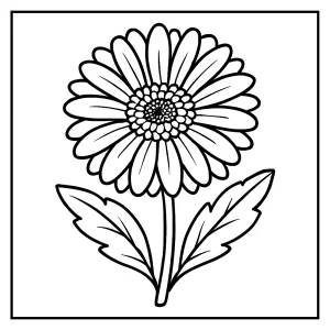 Gerbera coloring page – omalovánka gerbery k vytisknutí zdarma