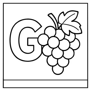 Omalovánka s písmenem G a hrozny – coloring page pro děti zdarma k vytištění