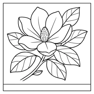 Omalovánka magnólie – květinová coloring page k vytištění zdarma