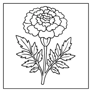 Omalovánka měsíčku lékařského – coloring page s květinou k vytištění zdarma