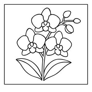 Omalovánka orchideje – květinová coloring page k vytištění zdarma