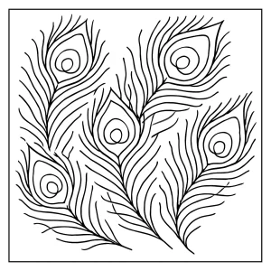 Omalovánka paví pera – coloring page ke stažení zdarma s detailními pery k vybarvení
