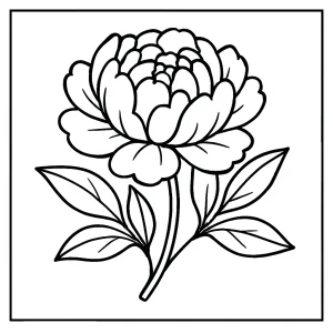 Omalovánka pivoňka – coloring page květiny k vytištění zdarma