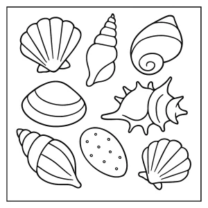 Omalovánka mušlí – coloring page s motivem krásných mušlí zdarma k vytištění