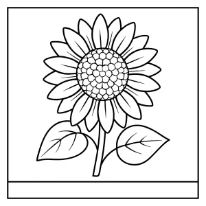 Slunečnice omalovánka – detailní coloring page květiny k vybarvení zdarma pro děti