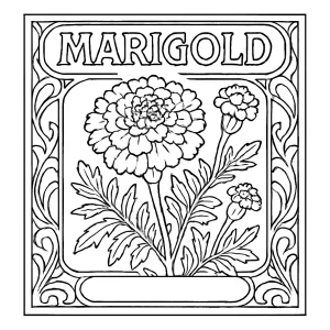 Art Nouveau omalovánka s měsíčkem – květinová coloring page k vytištění zdarma